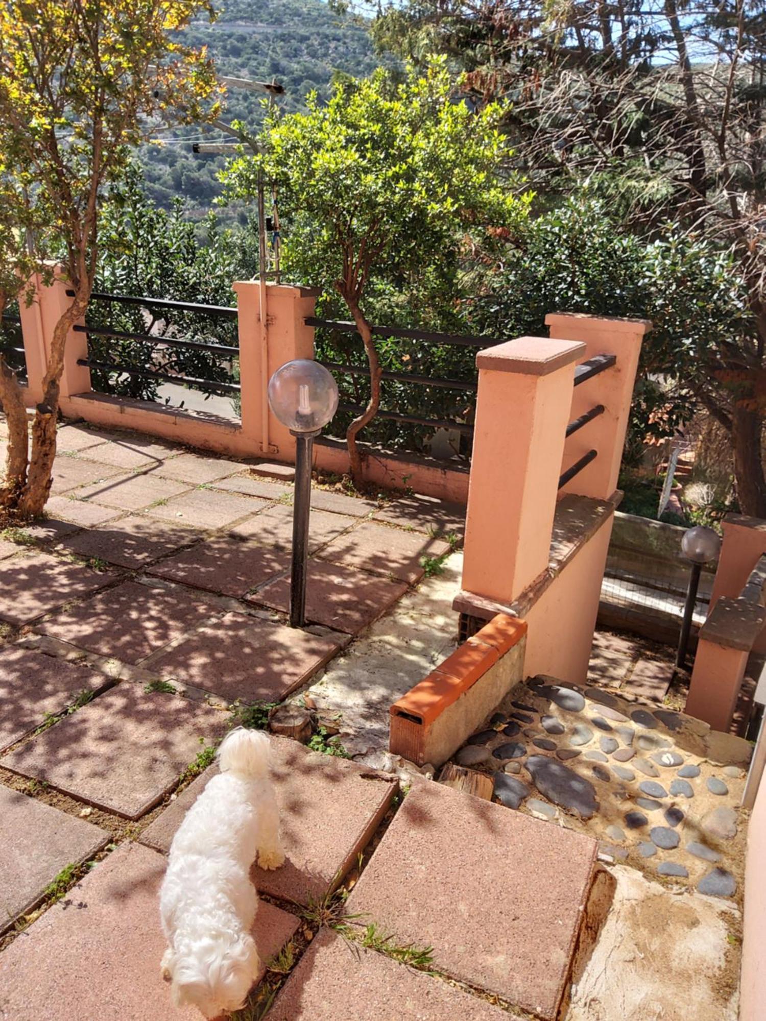 Appartamento Casa Rosa I.U.N Q9637 Buggerru Esterno foto